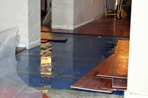 Professional Water Damage Restoration technician working in Yorktown, TX